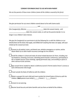California Child Caregiver Consent and Responsibilities Agreement form preview
