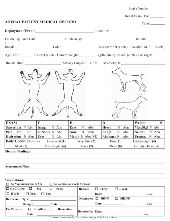 Comprehensive Health Assessment and Tracking Record
