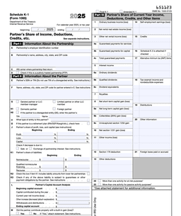 Schedule K-1 (1065) form preview