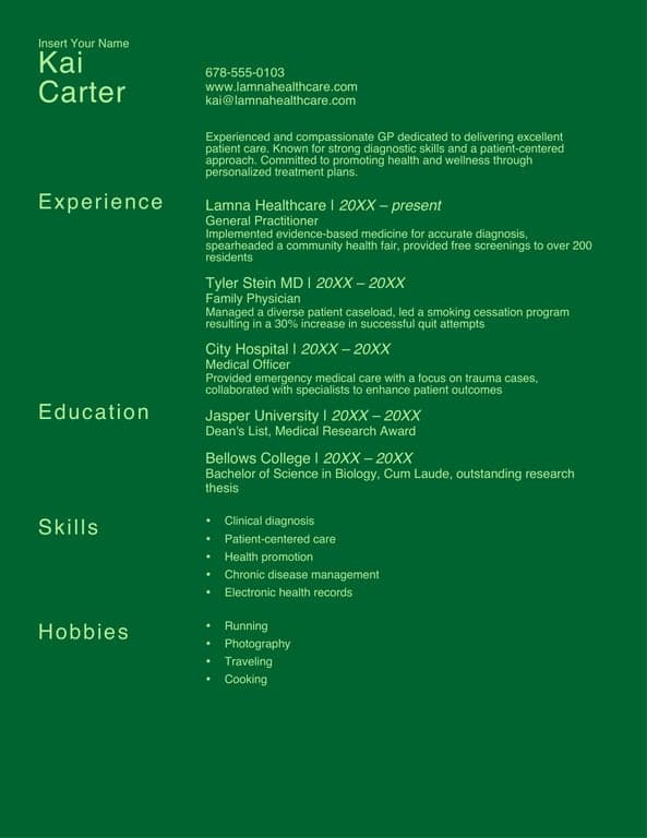 Monochrome professional resume