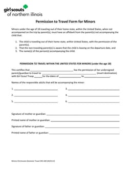Domestic Travel Declaration for Minors form preview