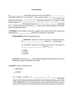 Loan Transaction Agreement Promissory Note form preview