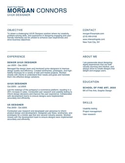 Simple UIUX designer resume form preview