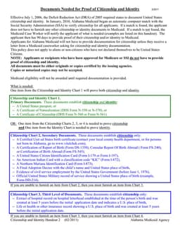 Alabama Medicaid Identity Verification under DRA 2005 form preview