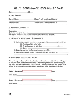 South Carolina General Bill of Sale for Personal Property Transfer form preview